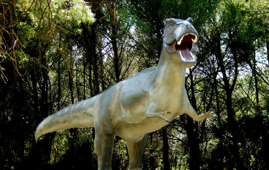 Museo de Dinosaurios